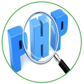 PHP Development, Web Design Company | Services | Firm Aurangabad,Maharashtra - Dhrumi Technologies
